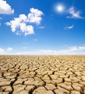 I cambiamenti climatici non rappresentano solo un tema ambientale.