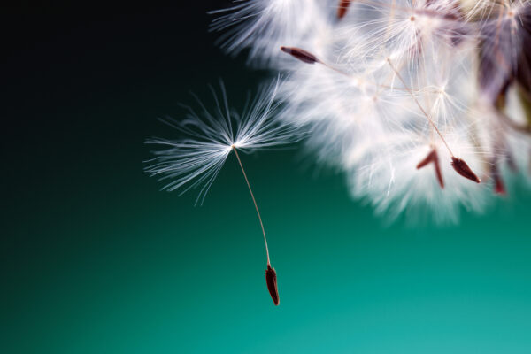 Perché è importante verificare la redditività aziendale di prospect e clienti futuri