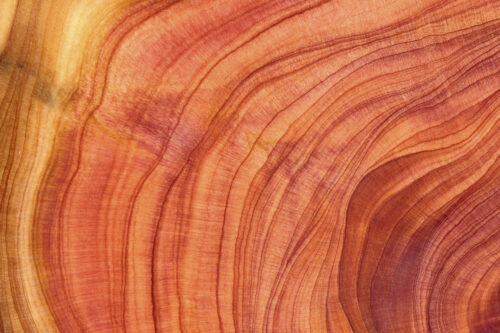 Indici di solvibilità aziendale: quali considerare e perché sono importanti