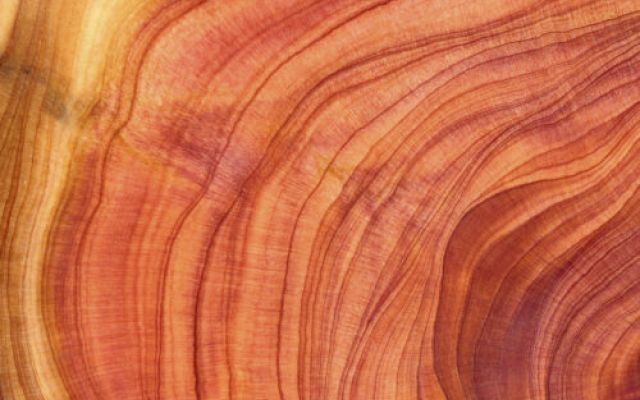 Indici di solvibilità aziendale: quali considerare e perché sono importanti