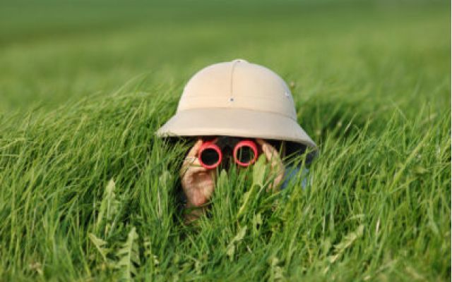 Trovare aziende solvibili: quali strumenti a supporto