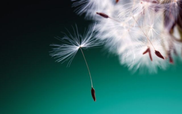 Perché è importante verificare la redditività aziendale di prospect e clienti futuri